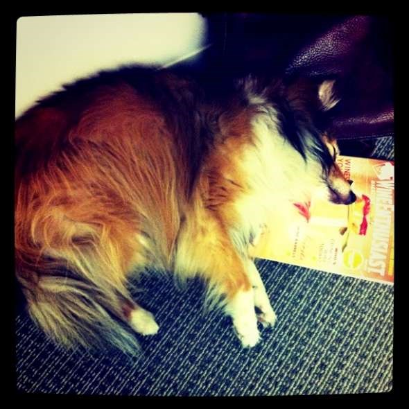 asleep at a meeting-W590