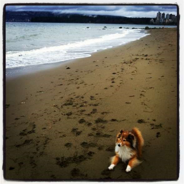 at the beach-W590