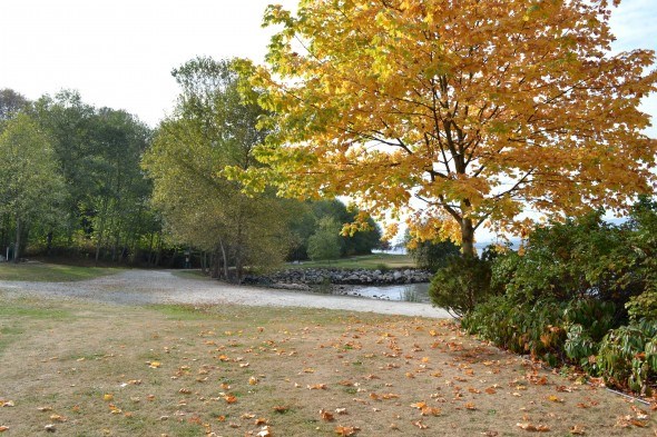 Fall trees in barnet marine park