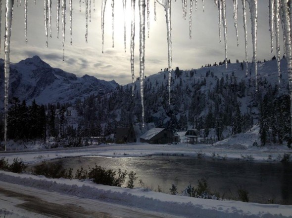 Mount Baker Ski Area