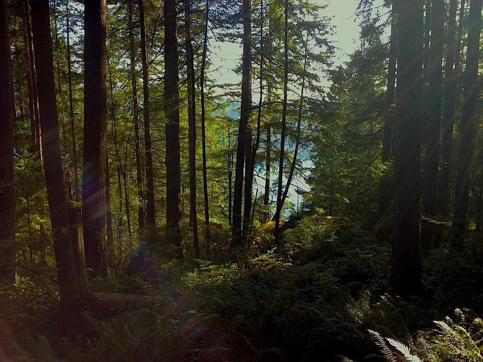 Quarry Rock Vancouver Baden Powell Trail Deep Cove