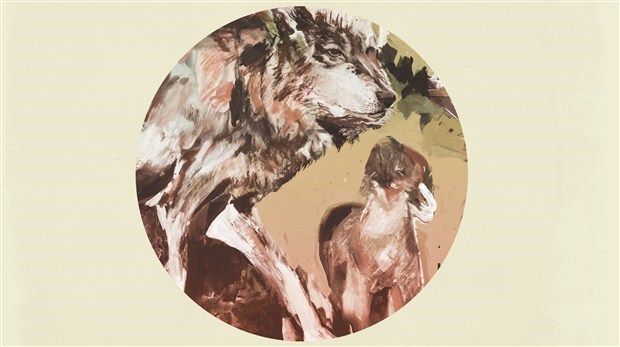cover_16x9_620x350
