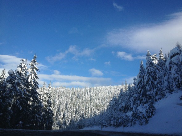 Central Oregon driving through Mount Hood. 