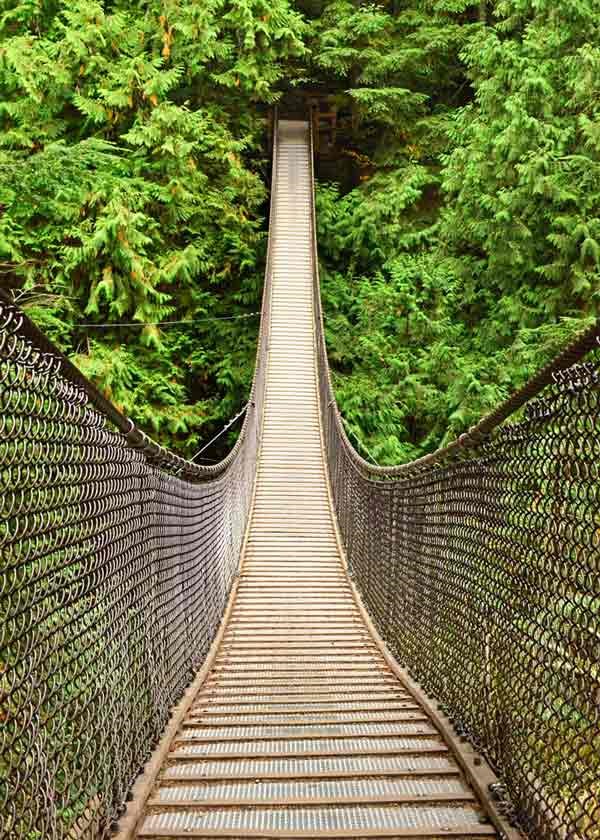 Lynn Canyon Suspension Bridge