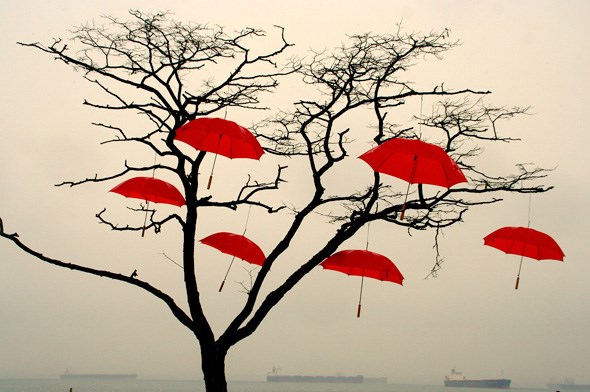 redumbrellas