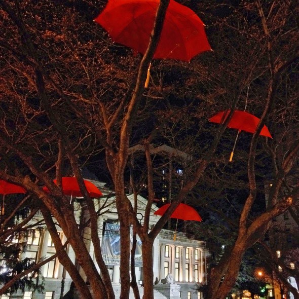 vag-umbrellas