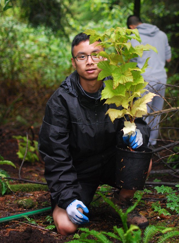 Tree-Planting-1