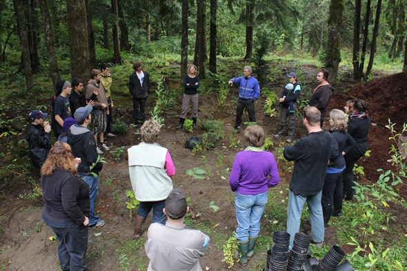 Tree-Planting-2