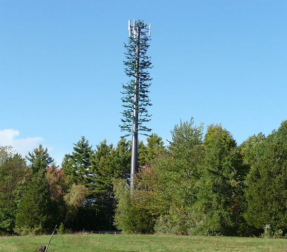  Not exactly a V-Pole, but this type of semi-camo cell tower could be an option for getting Wi-Fi out to the Vancouver parks-going masses.