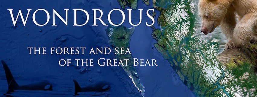 wondrous_banner_small