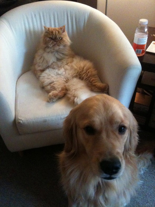 Georgie and Chester