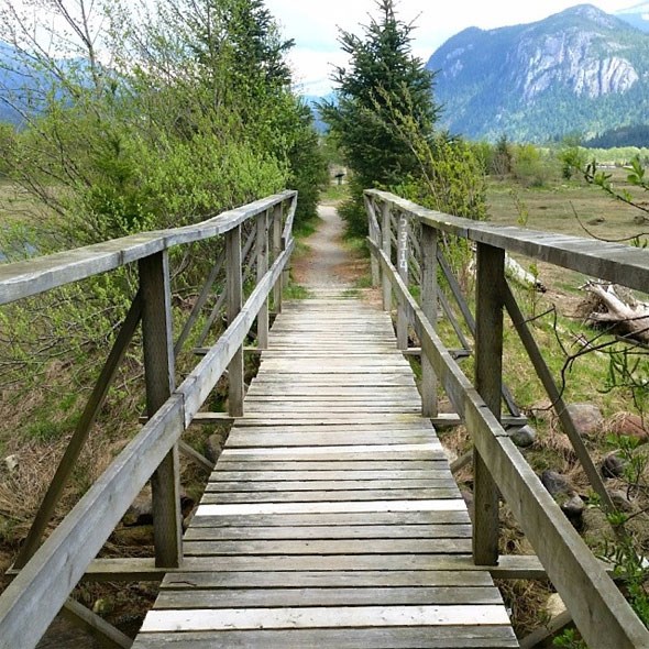 walkingbridge