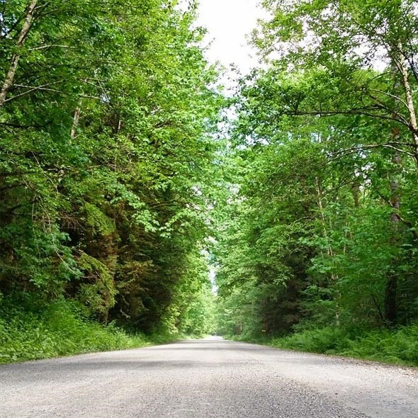 deer-lake-road