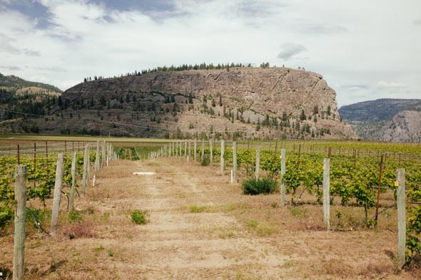 osoyoos-may2014-mcavoy-0201