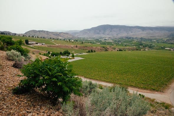 osoyoos-may2014-mcavoy-0262