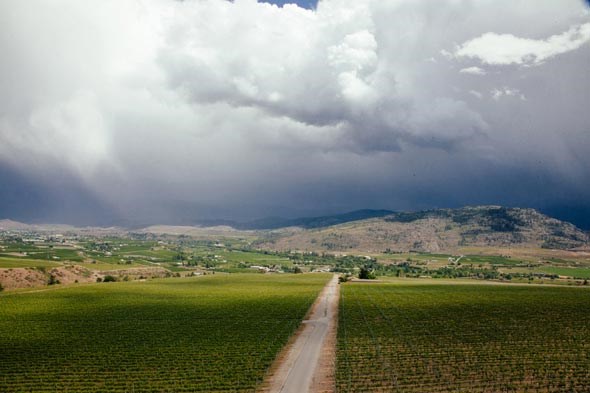 osoyoos-may2014-mcavoy-0339