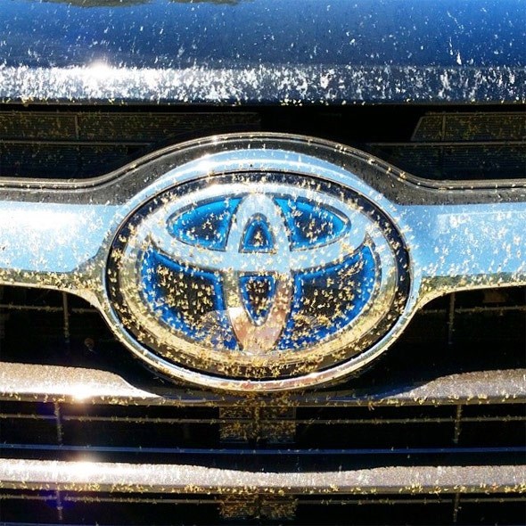 toyota-highlander-grill1