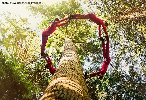 Aeriosa-poster-image-Tree-Dancing-via