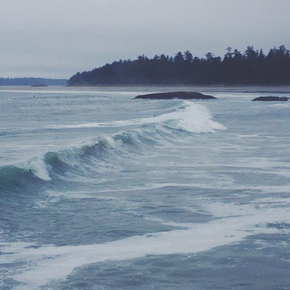 tofino-surf