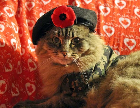 Remembrance Day Abbie
