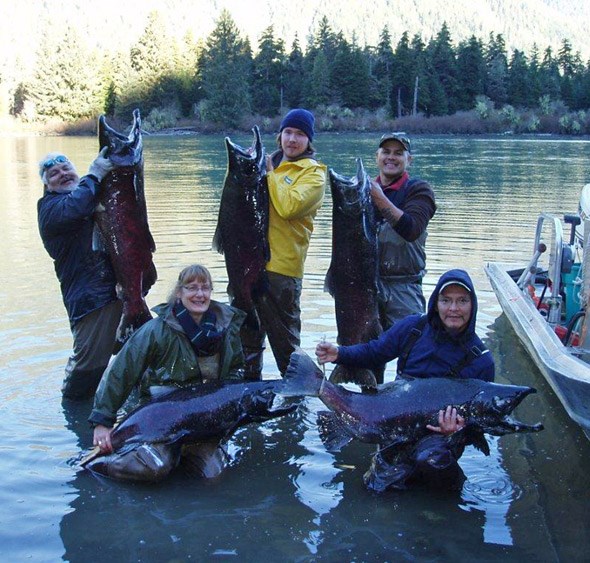 Volunteers study and track the salmon on the Wannock River