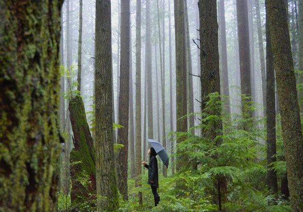 girl_in_forest