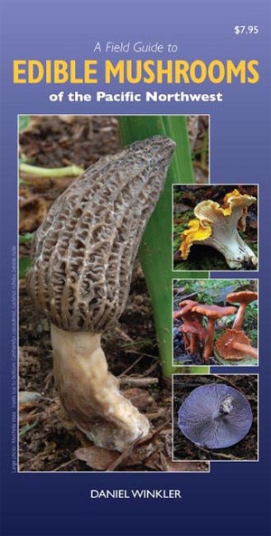 mushroom-picking-bc