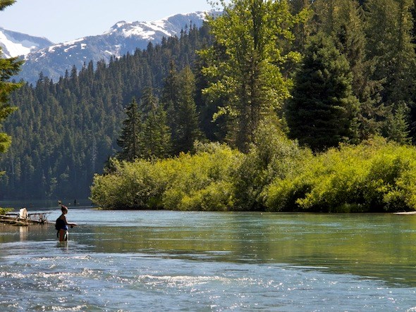 Cheakamus