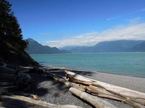  Squamish River by Jaime Adams