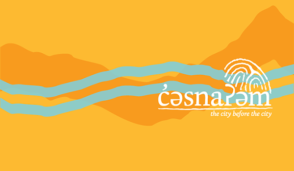 cesnaem-graphic600web
