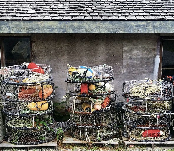 crab-traps