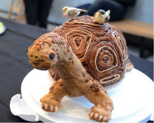 Darwin Turtle cake