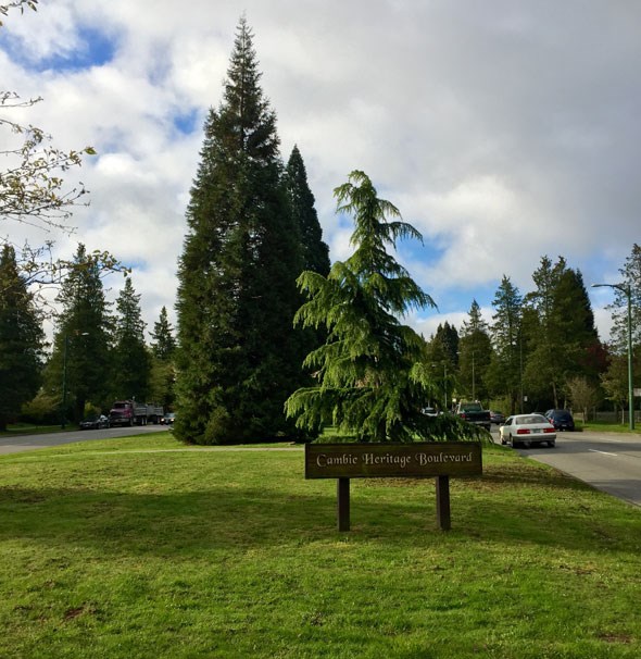 Cambie-Heritage-Boulevard