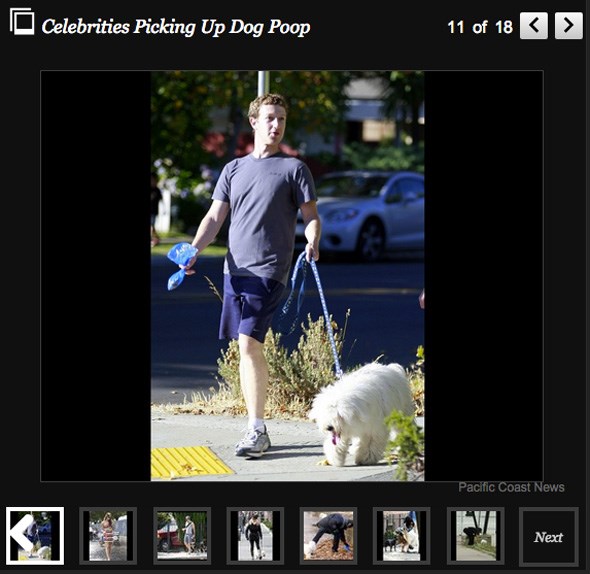 dogpoop-huffpo