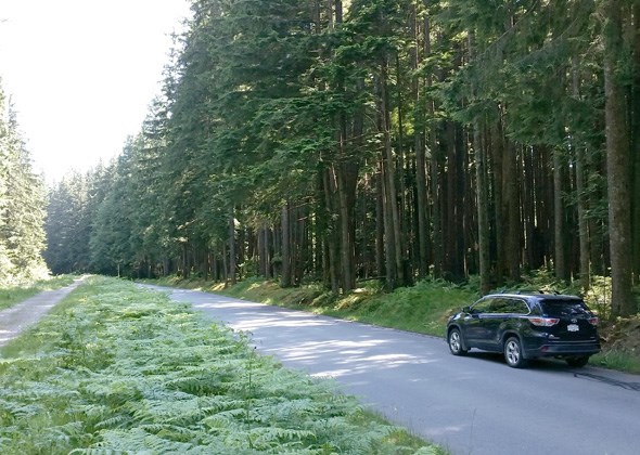 rice-lake-drive