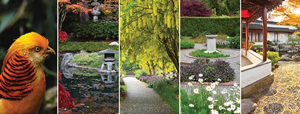 UBCBG-header-image-gardendays