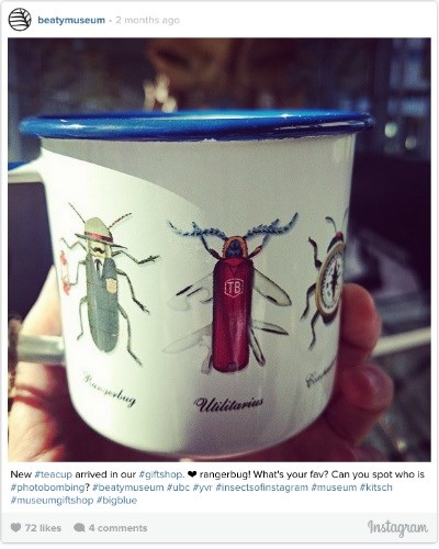 entomology cup 