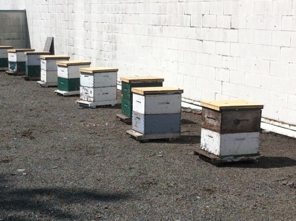 mattress-recycling-fire-beehives