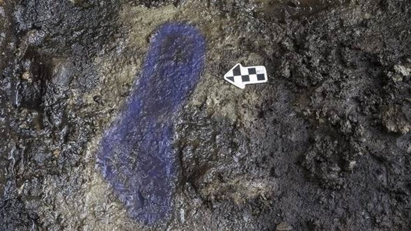 oldest-footprint-british-columbia