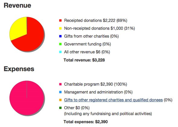 charity-reporting