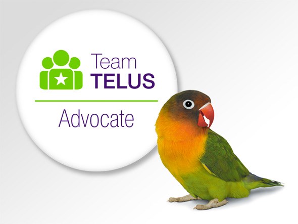 team-telus