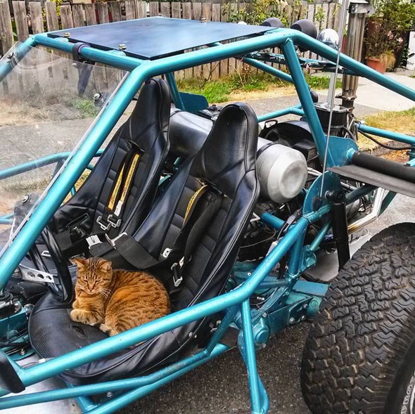 vancouver-dune-buggy-east-van