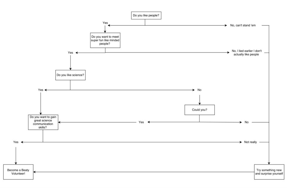 VIA volunteer flowchart Medium huge