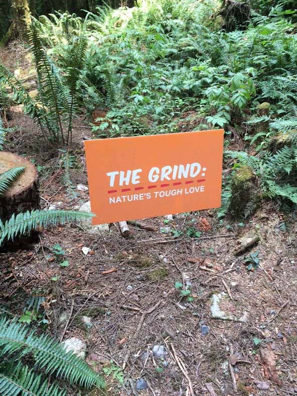  A very accurate sign on the way up.