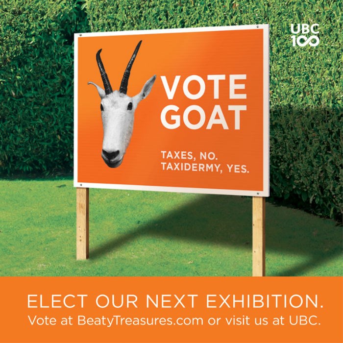 Vote for Goat