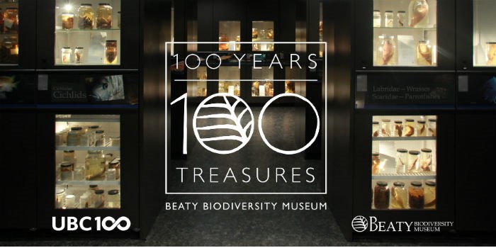 Top Treasures 