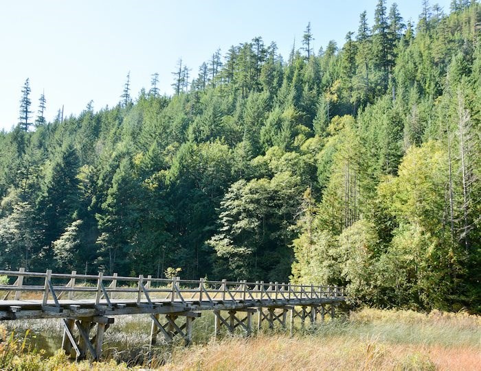  Bridge on the Brohm Lake Trail. Photo: Stephen Hui.