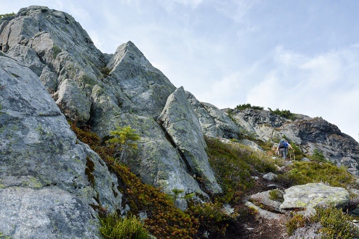  Hiking up Hope Mountain. Photo: Stephen Hui.