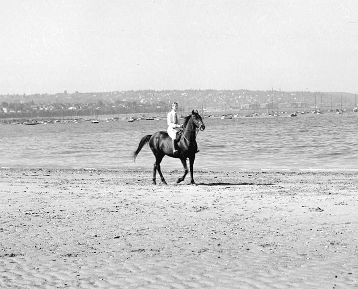 horse-kits-beach