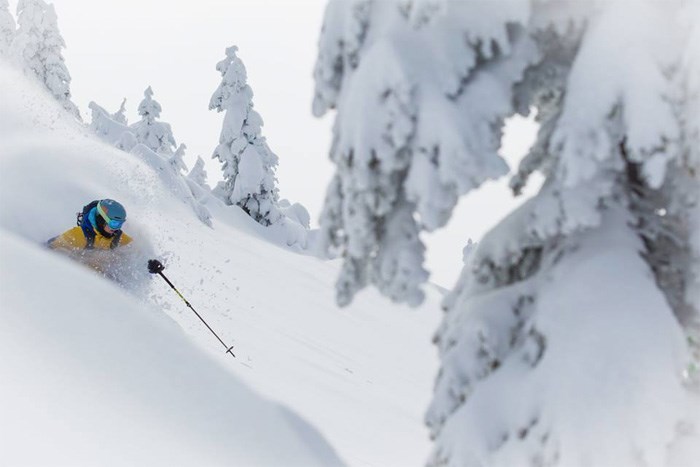  Revelstoke stoke. Photo: Zoya Lynch